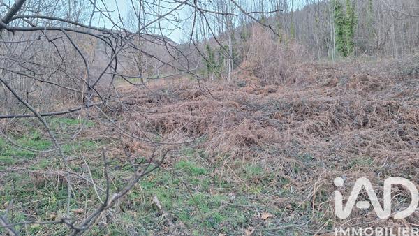 Terrain à vendre 51 000 m² Prats-de-Mollo-la-Preste
