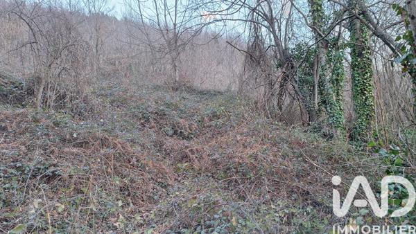 Terrain à vendre 51 000 m² Prats-de-Mollo-la-Preste