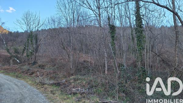 Terrain à vendre 51 000 m² Prats-de-Mollo-la-Preste