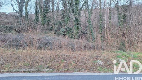 Terrain à vendre 51 000 m² Prats-de-Mollo-la-Preste