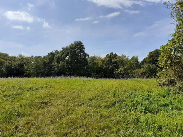 terrain 0 pièces 1513m² à vendre à Hagetmau