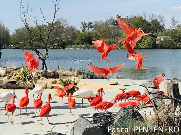 Appartement T3 dans maison de village, au cœur de Villars Les Dombes