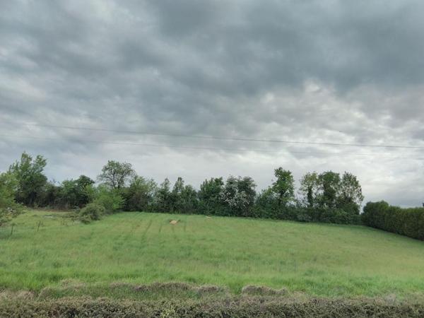 Terrain  1207 m2
