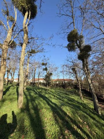 Achat - Terrain à bâtir Cholet 49300 1000 m 2