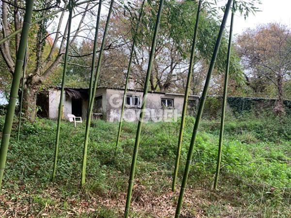 Maison à rénover avec terrain arboré de plus d'un hectare