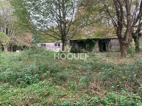 Maison à rénover avec terrain arboré de plus d'un hectare