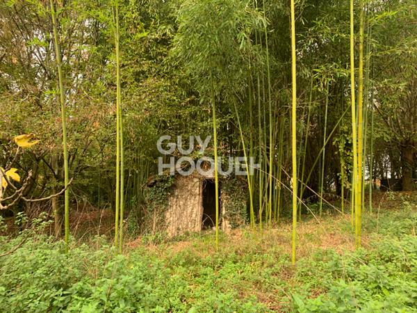 Maison à rénover avec terrain arboré de plus d'un hectare