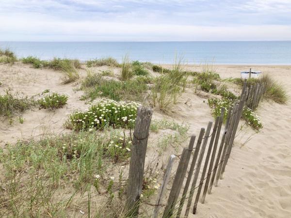 Achat vente Appartement Marseillan plage