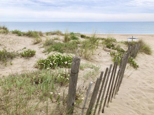 Achat vente Appartement Marseillan plage