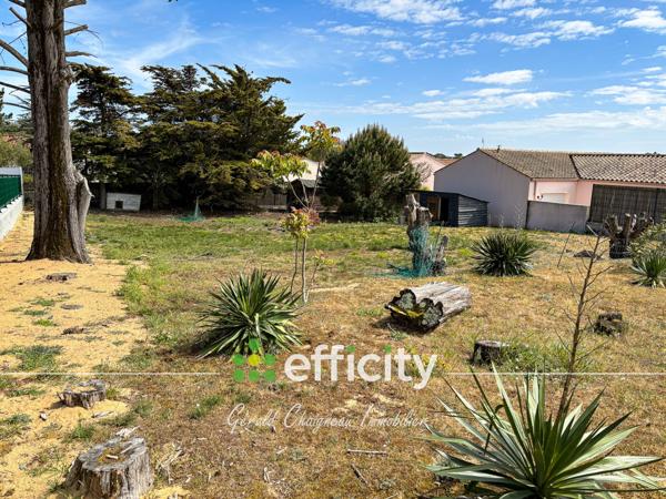 Terrain - 375 m²