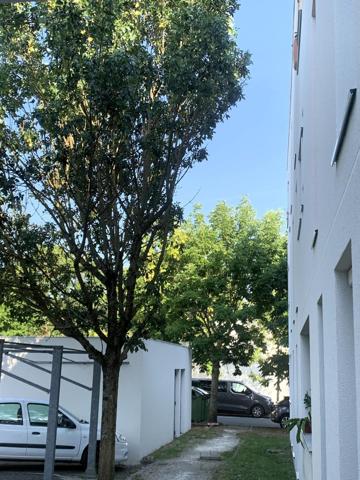 Charmant T3 entièrement rénové, offrant un cadre moderne et apaisant