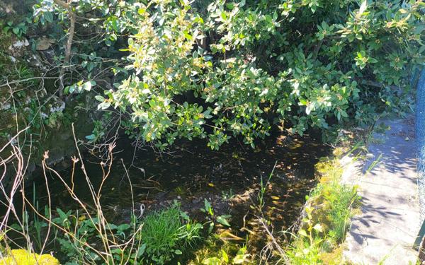 Terrain à vendre    Rosières