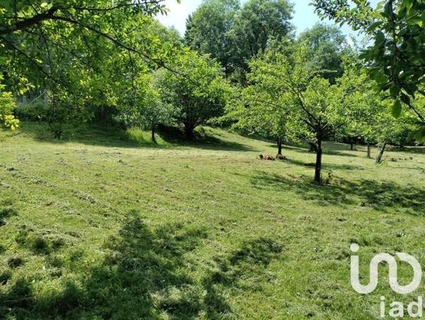 Maison de campagne 4 pièces de 135 m² à La Bachellerie (24210)