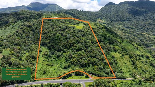 Magnifique terrain pour un projet d'envergure!