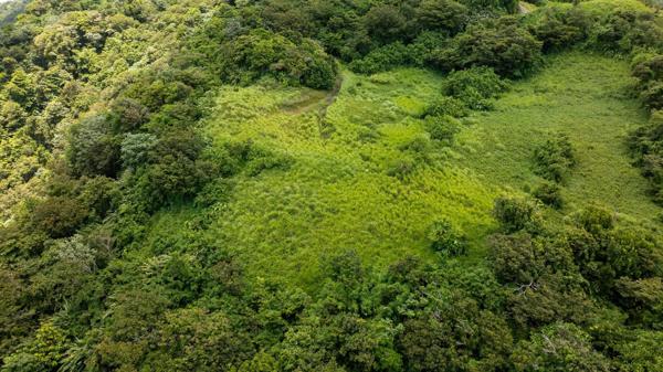Magnifique terrain pour un projet d'envergure!