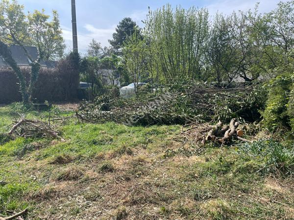 Terrain à vendre à Thorigné-Fouillard - Opportunité rare