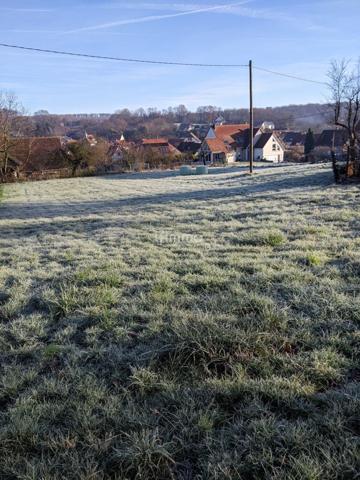 Terrain à bâtir 991 m² Lobsann