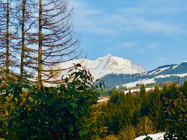 Appartement à vendre à Megève (74120) - Haute-Savoie