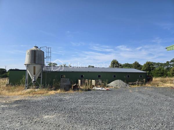 Pour exploitation maraîchère, beau terrain d'environ 3 hectares d'un seul tenant (à définir) et comprenant:
🐔 2 poulaillers de 260 et 150 m² (capacité 2400 pondeuses et 1500 poulets de chair) avec parcours.
🏚️ 2 hangars à matériel de 150 m² chacun pour stockage 
🏚️ 1 hangar d'environ 580 m² comprenant deux frigos de 6m² chacun et 2 appartements au dessus de ce hangar de 80 m² chacun, loués et équipés chacun d'une cuisine aménagée ouverte sur salle à manger, de 2 chambres, d'une salle d'eau, d'un wc.
Accès facilité et secteur géographique idéal.