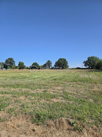 Pour exploitation maraîchère, beau terrain d'environ 3 hectares d'un seul tenant (à définir) et comprenant:
🐔 2 poulaillers de 260 et 150 m² (capacité 2400 pondeuses et 1500 poulets de chair) avec parcours.
🏚️ 2 hangars à matériel de 150 m² chacun pour stockage 
🏚️ 1 hangar d'environ 580 m² comprenant deux frigos de 6m² chacun et 2 appartements au dessus de ce hangar de 80 m² chacun, loués et équipés chacun d'une cuisine aménagée ouverte sur salle à manger, de 2 chambres, d'une salle d'eau, d'un wc.
Accès facilité et secteur géographique idéal.
