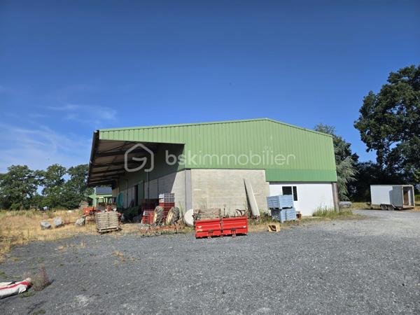 Pour exploitation maraîchère, beau terrain d'environ 3 hectares d'un seul tenant (à définir) et comprenant:
🐔 2 poulaillers de 260 et 150 m² (capacité 2400 pondeuses et 1500 poulets de chair) avec parcours.
🏚️ 2 hangars à matériel de 150 m² chacun pour stockage 
🏚️ 1 hangar d'environ 580 m² comprenant deux frigos de 6m² chacun et 2 appartements au dessus de ce hangar de 80 m² chacun, loués et équipés chacun d'une cuisine aménagée ouverte sur salle à manger, de 2 chambres, d'une salle d'eau, d'un wc.
Accès facilité et secteur géographique idéal.