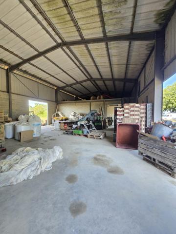 Pour exploitation maraîchère, beau terrain d'environ 3 hectares d'un seul tenant (à définir) et comprenant:
🐔 2 poulaillers de 260 et 150 m² (capacité 2400 pondeuses et 1500 poulets de chair) avec parcours.
🏚️ 2 hangars à matériel de 150 m² chacun pour stockage 
🏚️ 1 hangar d'environ 580 m² comprenant deux frigos de 6m² chacun et 2 appartements au dessus de ce hangar de 80 m² chacun, loués et équipés chacun d'une cuisine aménagée ouverte sur salle à manger, de 2 chambres, d'une salle d'eau, d'un wc.
Accès facilité et secteur géographique idéal.