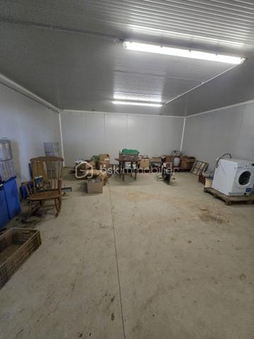Pour exploitation maraîchère, beau terrain d'environ 3 hectares d'un seul tenant (à définir) et comprenant:
🐔 2 poulaillers de 260 et 150 m² (capacité 2400 pondeuses et 1500 poulets de chair) avec parcours.
🏚️ 2 hangars à matériel de 150 m² chacun pour stockage 
🏚️ 1 hangar d'environ 580 m² comprenant deux frigos de 6m² chacun et 2 appartements au dessus de ce hangar de 80 m² chacun, loués et équipés chacun d'une cuisine aménagée ouverte sur salle à manger, de 2 chambres, d'une salle d'eau, d'un wc.
Accès facilité et secteur géographique idéal.