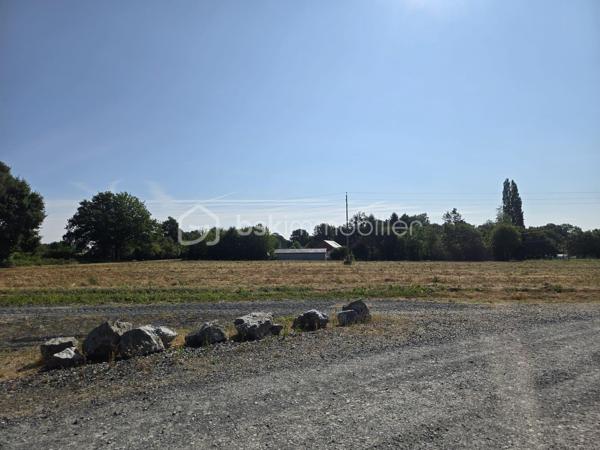 Pour exploitation maraîchère, beau terrain d'environ 3 hectares d'un seul tenant (à définir) et comprenant:
🐔 2 poulaillers de 260 et 150 m² (capacité 2400 pondeuses et 1500 poulets de chair) avec parcours.
🏚️ 2 hangars à matériel de 150 m² chacun pour stockage 
🏚️ 1 hangar d'environ 580 m² comprenant deux frigos de 6m² chacun et 2 appartements au dessus de ce hangar de 80 m² chacun, loués et équipés chacun d'une cuisine aménagée ouverte sur salle à manger, de 2 chambres, d'une salle d'eau, d'un wc.
Accès facilité et secteur géographique idéal.
