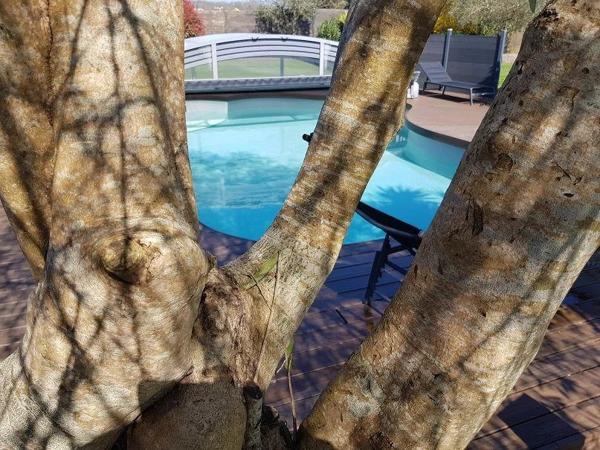 Demeure d'exception très proche de Pornic de 252M²