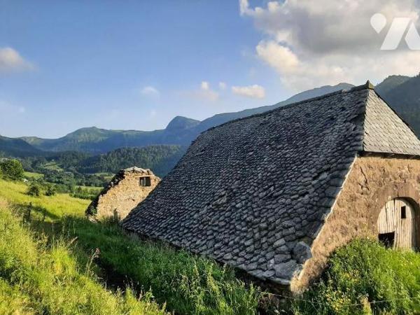 A vendre, sur la commune du Falgoux (CANTAL), avec une vue exceptionnelle sur les montagnes env...