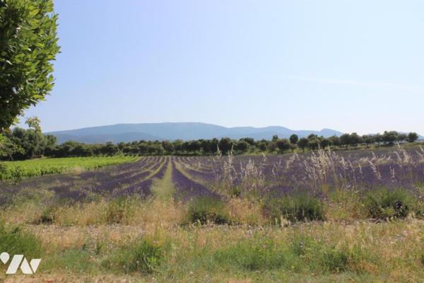 Ferme à rénover