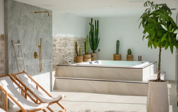 Vente Villa Prestige Saint-christol-les-ales   