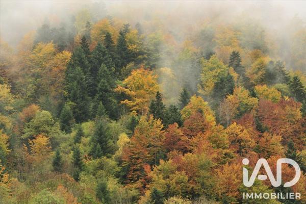 Terrain à vendre 52 608 m² Saint Geniez d'Olt et d'Aubrac