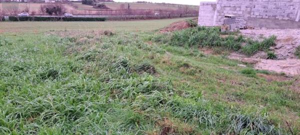 Achat - Terrain à bâtir Guidel 56520 503 m 2