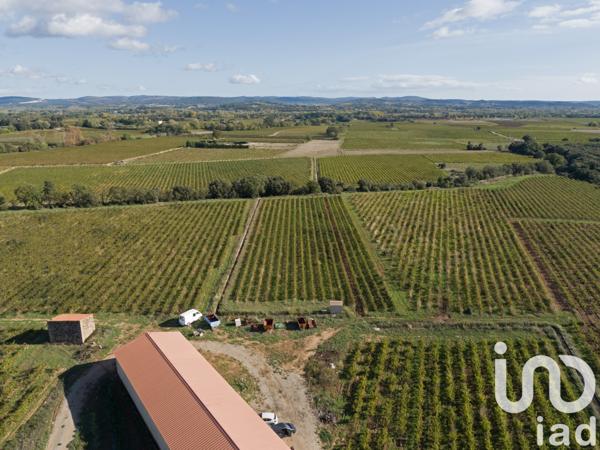 Terrain à vendre 93 829 m² Ceyras