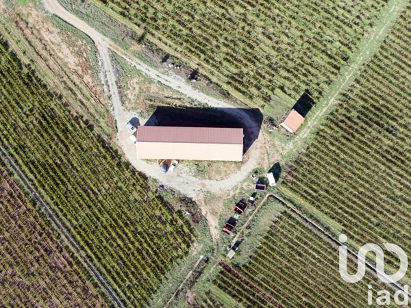 Terrain à vendre 93 829 m² Ceyras