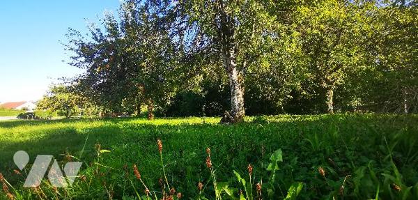 Pavillon 4 chambres avec vaste terrain