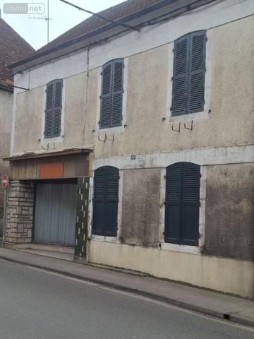 Maison à restaurer à vendre à Châteauneuf-sur-Cher dans le Cher (18190), ref : 18016/2098