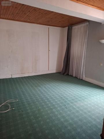 Maison à restaurer à vendre à Châteauneuf-sur-Cher dans le Cher (18190), ref : 18016/2098