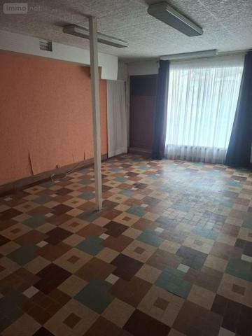 Maison à restaurer à vendre à Châteauneuf-sur-Cher dans le Cher (18190), ref : 18016/2098