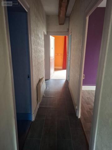 Maison à restaurer à vendre à Châteauneuf-sur-Cher dans le Cher (18190), ref : 18016/2098