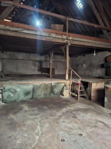 Maison à restaurer à vendre à Châteauneuf-sur-Cher dans le Cher (18190), ref : 18016/2098