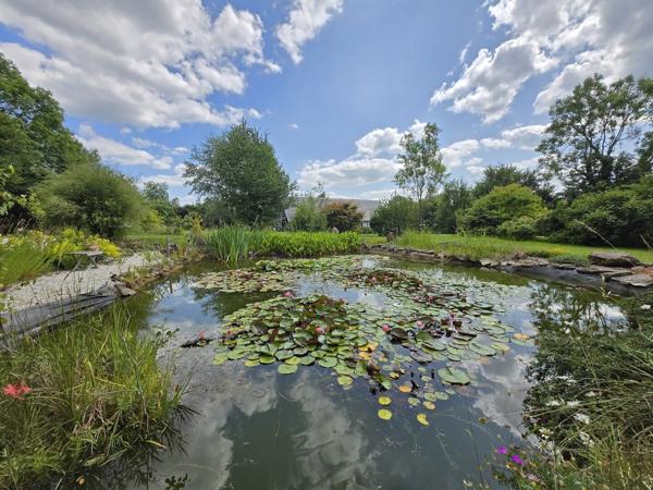 Maison T5 sur plus d'un hectare de terrain