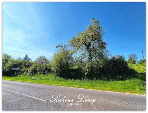 Dpt Marne (51), à vendre proche de ORBAIS L'ABBAYES terrain de 8 107m² constructible