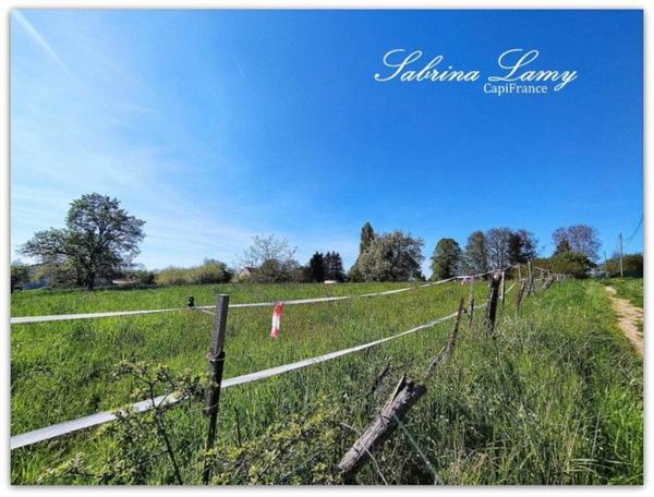 Dpt Marne (51), à vendre proche de ORBAIS L'ABBAYES terrain de 8 107m² constructible