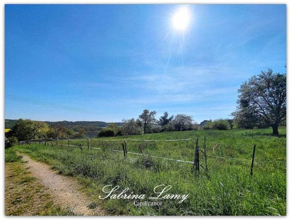 Dpt Marne (51), à vendre proche de ORBAIS L'ABBAYES terrain de 8 107m² constructible