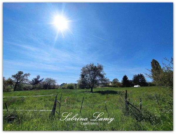 Dpt Marne (51), à vendre proche de ORBAIS L'ABBAYES terrain de 8 107m² constructible