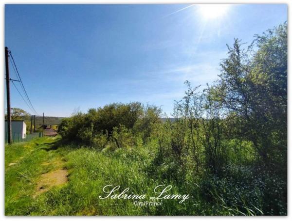 Dpt Marne (51), à vendre proche de ORBAIS L'ABBAYES terrain de 8 107m² constructible