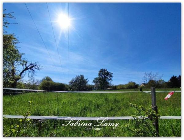 Dpt Marne (51), à vendre proche de ORBAIS L'ABBAYES terrain de 8 107m² constructible