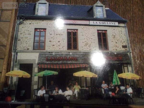 Local mixte (Pro/Hab) à vendre à Villaines-la-Juhel en Mayenne (53700), ref : 2026